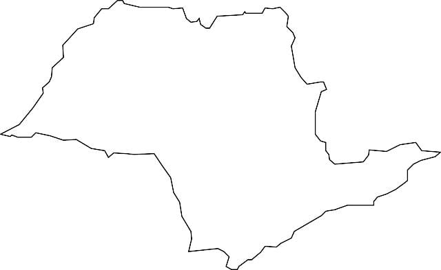 Kaart São Paulo vector